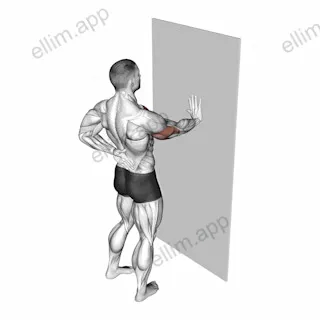 Single Arm Push-up Supported Wall exercise targeting Chest and Pectoralis Major Clavicular Head