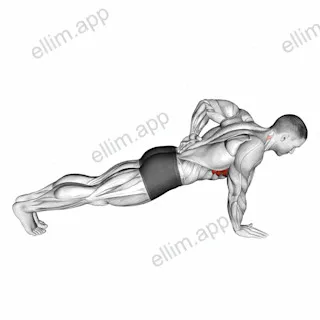 Single Arm Scapula Push up exercise targeting Back