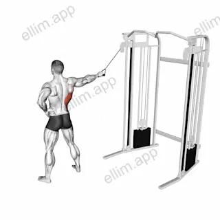 Single Arm Side Straight Arm Lat Pulldown exercise targeting Back and Latissimus Dorsi