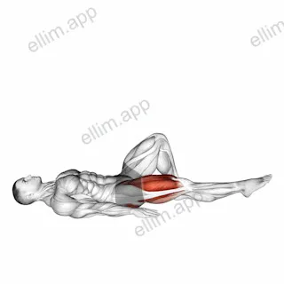 Single Leg Bridge with Hip Flexion exercise targeting Hips and Gluteus Maximus