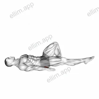 Single Leg Bridge with Outstretched Leg exercise targeting Hips and Gluteus Maximus