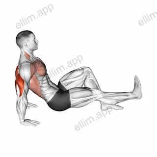 Single Leg Dip on floor exercise targeting Upper Arms and Triceps Brachii
