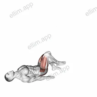 Single Leg Glute Bridge with External Rotation exercise targeting Hips and Adductor Brevis