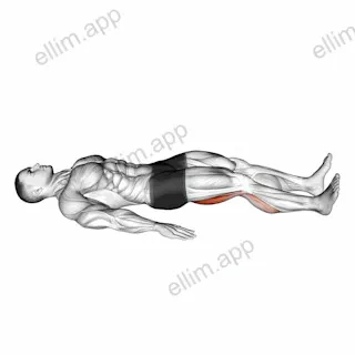 Single Leg Platform Slide exercise targeting Thighs and Hamstrings