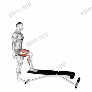 Single Leg Push Off exercise targeting Thighs