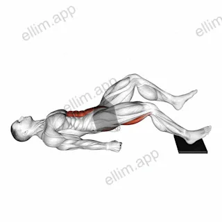 Single Leg Sliding Floor Bridge Curl on Towel exercise targeting Gluteus Maximus and Hamstrings