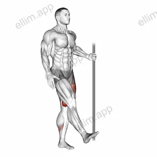Single Leg Squat with Support (pistol) exercise targeting Thighs and Gluteus Maximus