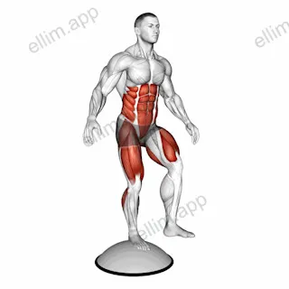 Single Leg Stand on Bosu Ball exercise targeting Plyometrics