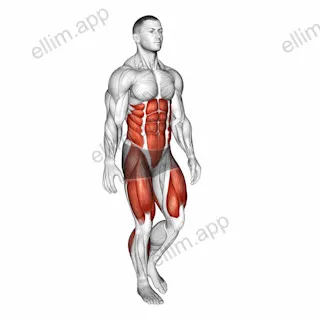 Single Leg Stand exercise targeting Plyometrics
