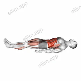 Single Leg Stretch (bent knee) exercise targeting Thighs and Gluteus Maximus