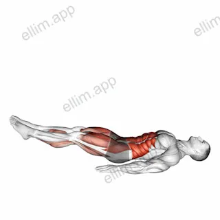Single Straight Leg Stretch exercise targeting Thighs and Gluteus Maximus