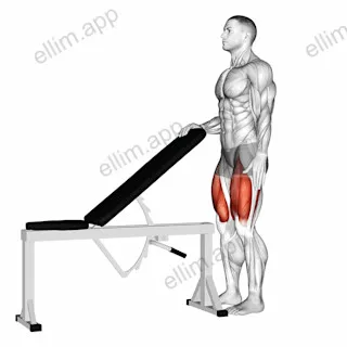 Sissy Squat Bodyweight exercise targeting Thighs
