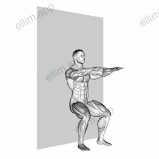 Sit (wall) exercise targeting Thighs and Gluteus Maximus