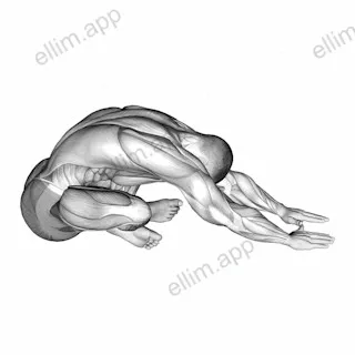 Sitting Crossed Legged Reach Forward Stretch exercise targeting Back