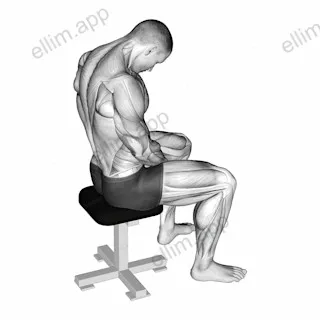 Sitting Neck Flexion Stretch exercise targeting Neck