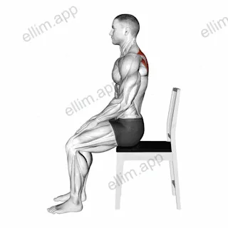 Sitting Scapular Adduction exercise targeting Back