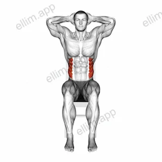 Sitting Side Bend on a chair exercise targeting Waist