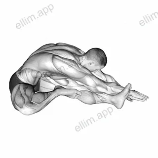 Sitting Side Reach Stretch exercise targeting Back