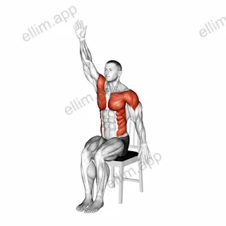 Sitting Swimmer on a Chair exercise targeting Shoulders