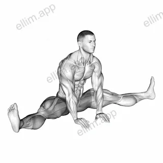 Sitting Wide Leg Adductor Stretch exercise targeting Hips and Adductor Brevis