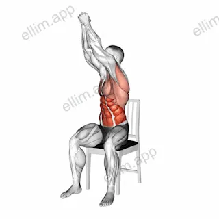 Sitting Woodchopper on a Chair exercise targeting Waist