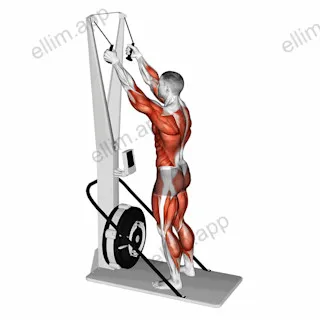 Ski Ergometer exercise targeting Plyometrics