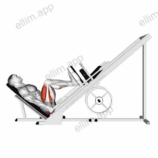 Sled 45ø Leg Press (Side POV) exercise targeting Thighs and Gluteus Maximus
