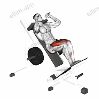 Sled Closer Hack Squat exercise targeting Thighs and Gluteus Maximus