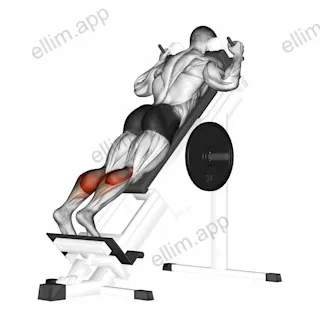 Sled Forward Angled Calf Raise exercise targeting Calves and Gastrocnemius