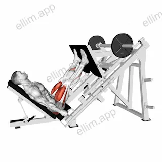 Sled Glute Dominant Leg Press exercise targeting Hips
