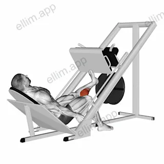 Sled One Leg Calf Press on Leg Press exercise targeting Calves and Gastrocnemius