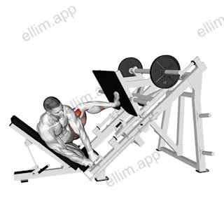 Sled Side Leg Press exercise targeting Hips