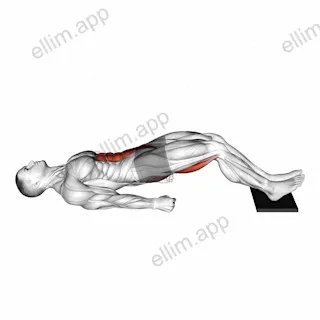 Sliding Floor Bridge Curl on Towel exercise targeting Gluteus Maximus and Hamstrings