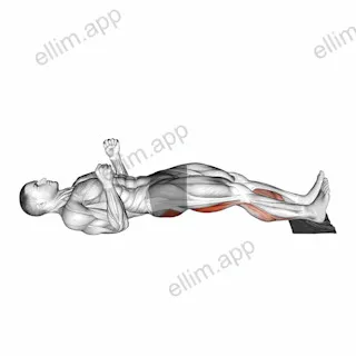 Sliding Leg Curl on Floor with Towel exercise targeting Thighs and Gluteus Maximus