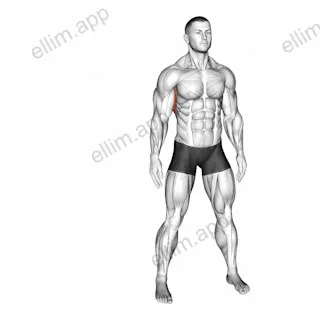 Slopes Towards Stretch exercise targeting Back and Latissimus Dorsi