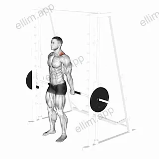 Smith Back Shrug exercise targeting Back and Trapezius Upper Fibers