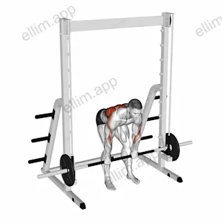 Smith Bent Over Row exercise targeting Back and Infraspinatus