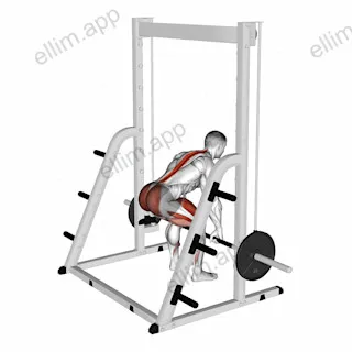 Smith Deadlift exercise targeting Hips and Erector Spinae