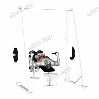 Smith Decline Bench Press exercise targeting Chest and Pectoralis Major Sternal Head