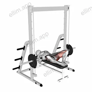 Smith Frog Hip Thrust exercise targeting Hips