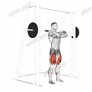 Smith Front Squat (Clean Grip) exercise targeting Thighs and Gluteus Maximus