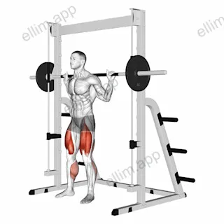 Smith Full Squat exercise targeting Thighs and Gluteus Maximus