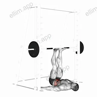 Smith Hip Raise exercise targeting Waist and Rectus Abdominis