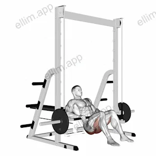 Smith Hip Thrust exercise targeting Hips and Gluteus Maximus