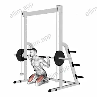 Smith Kneeling Hip Thrust exercise targeting Hips