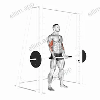 Smith Machine Bicep Curl exercise targeting Upper Arms and Biceps Brachii