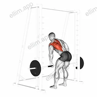 Smith One Arm Row exercise targeting Back and Infraspinatus