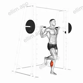 Smith One Leg Floor Calf Raise exercise targeting Calves and Gastrocnemius
