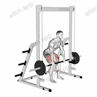 Smith Rack Pull exercise targeting Hips