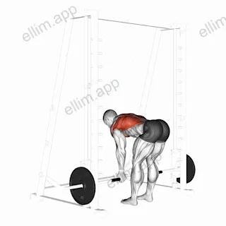 Smith Reverse Grip Bent Over Row exercise targeting Back and Infraspinatus
